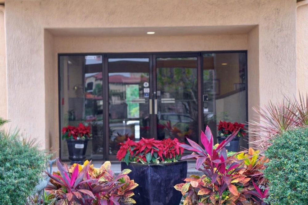 Destiny Palms Hotel Maingate West Image 35