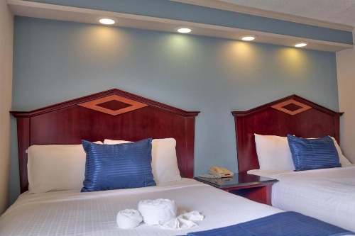 Destiny Palms Hotel Maingate West image 39